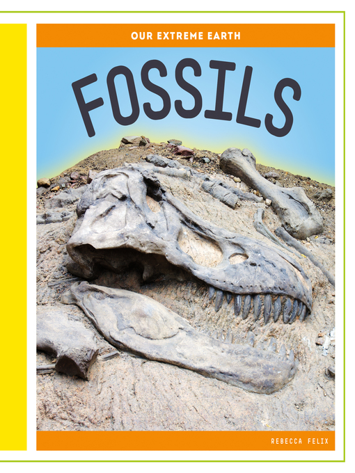 Title details for Fossils by Rebecca Felix - Available